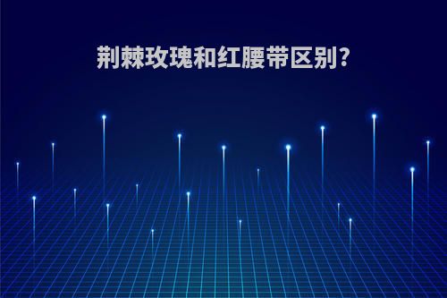 荆棘玫瑰和红腰带区别?