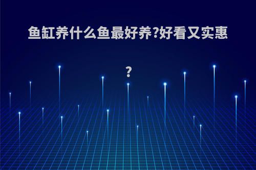 鱼缸养什么鱼最好养?好看又实惠?