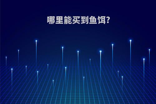 哪里能买到鱼饵?