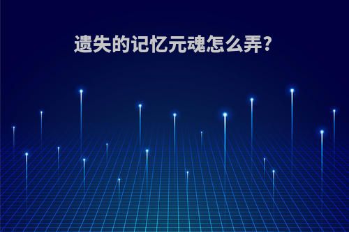 遗失的记忆元魂怎么弄?