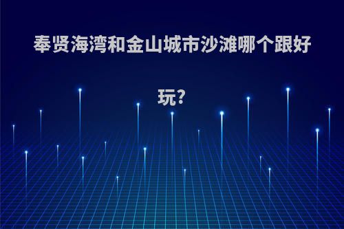 奉贤海湾和金山城市沙滩哪个跟好玩?