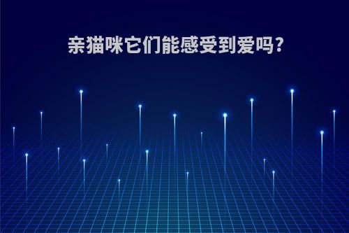 亲猫咪它们能感受到爱吗?