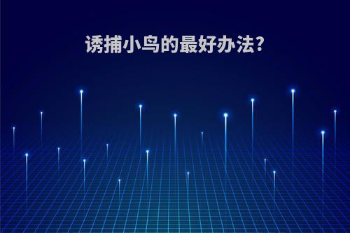 诱捕小鸟的最好办法?