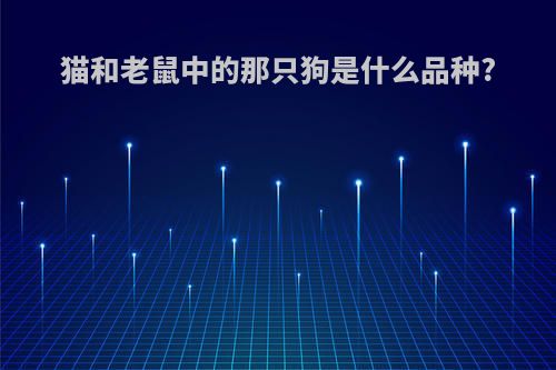 猫和老鼠中的那只狗是什么品种?