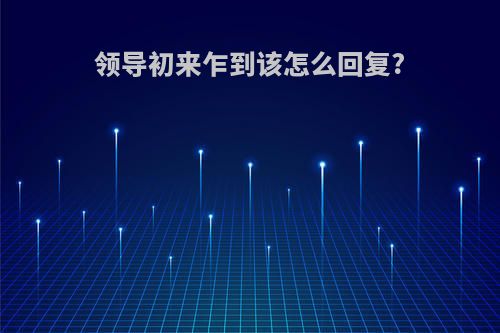 领导初来乍到该怎么回复?