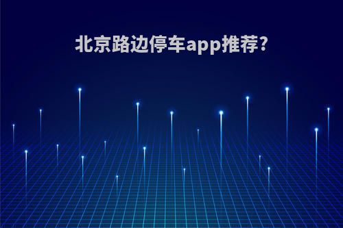 北京路边停车app推荐?