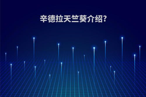 辛德拉天竺葵介绍?
