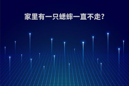 家里有一只蟋蟀一直不走?