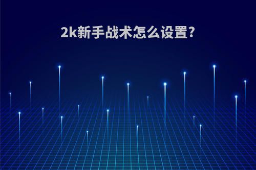 2k新手战术怎么设置?