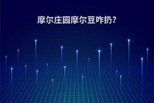 摩尔庄园摩尔豆咋扔?