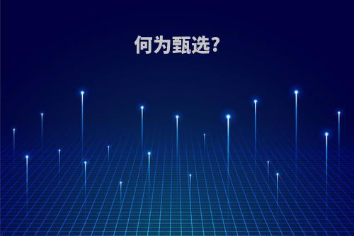 何为甄选?