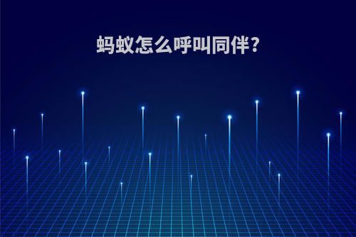 蚂蚁怎么呼叫同伴?