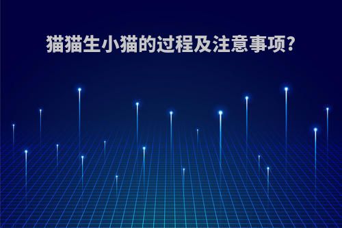 猫猫生小猫的过程及注意事项?