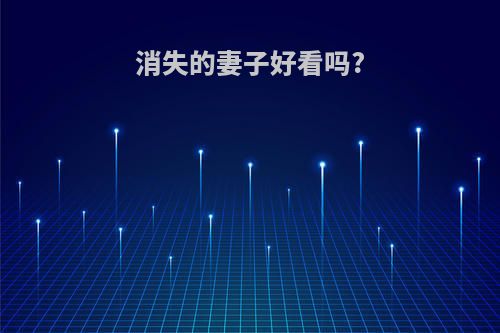 消失的妻子好看吗?