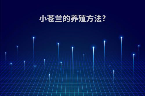 小苍兰的养殖方法?