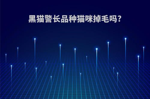 黑猫警长品种猫咪掉毛吗?