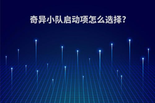 奇异小队启动项怎么选择?