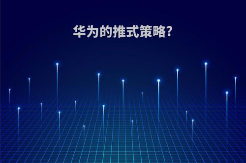 华为的推式策略?