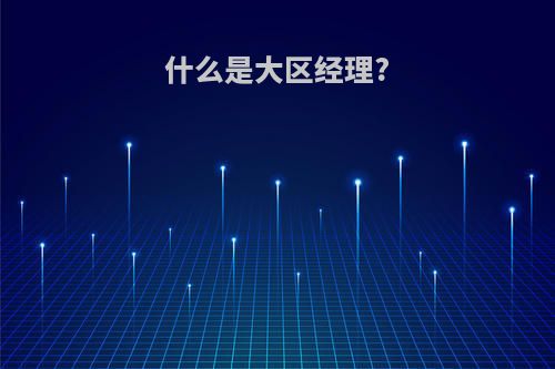 什么是大区经理?