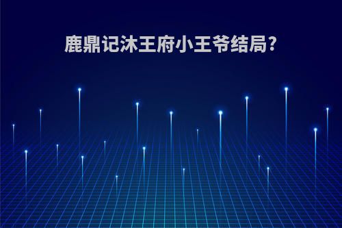 鹿鼎记沐王府小王爷结局?