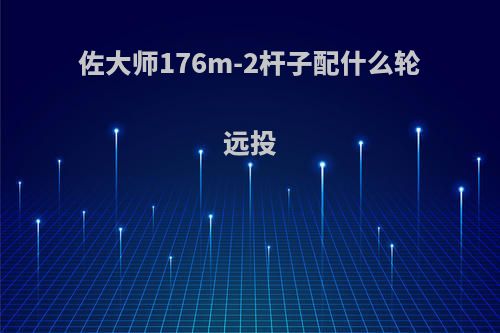佐大师176m-2杆子配什么轮远投
