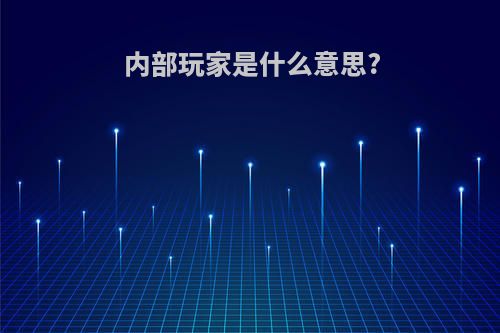 内部玩家是什么意思?