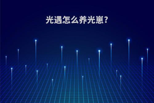 光遇怎么养光崽?