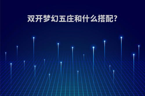双开梦幻五庄和什么搭配?