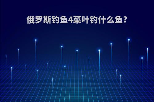 俄罗斯钓鱼4菜叶钓什么鱼?