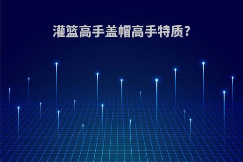 灌篮高手盖帽高手特质?