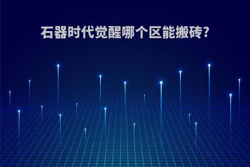 石器时代觉醒哪个区能搬砖?