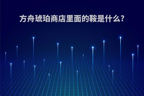 方舟琥珀商店里面的鞍是什么?