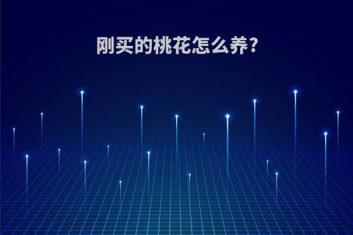 刚买的桃花怎么养?