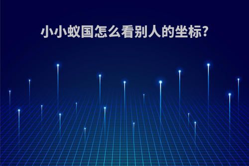 小小蚁国怎么看别人的坐标?