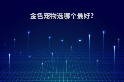 金色宠物选哪个最好?