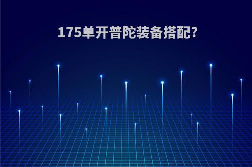 175单开普陀装备搭配?