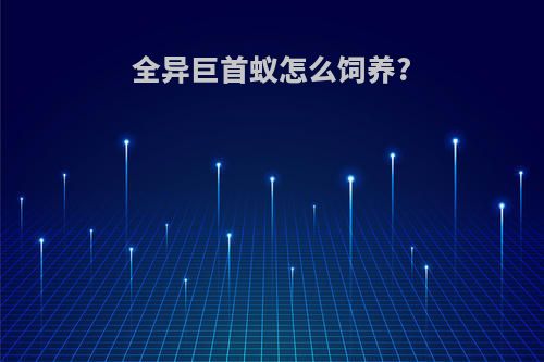 全异巨首蚁怎么饲养?