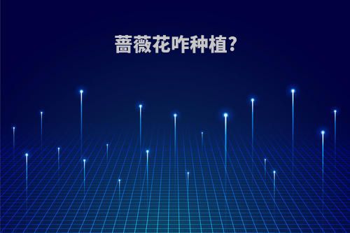 蔷薇花咋种植?