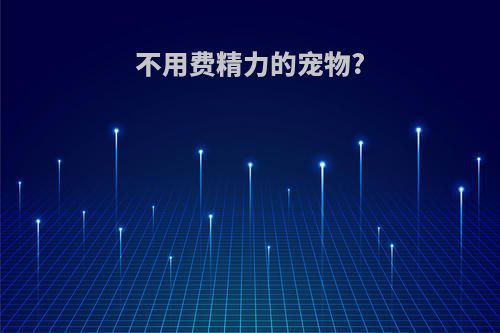 不用费精力的宠物?