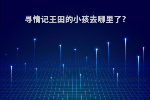 寻情记王田的小孩去哪里了?