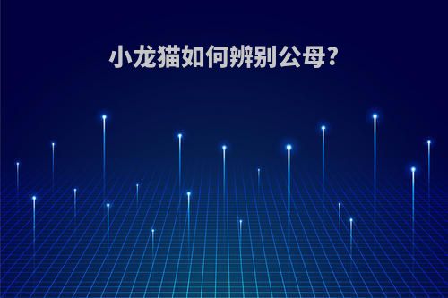 小龙猫如何辨别公母?