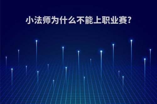 小法师为什么不能上职业赛?