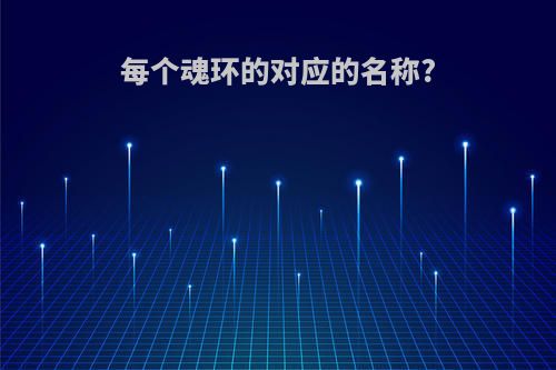 每个魂环的对应的名称?