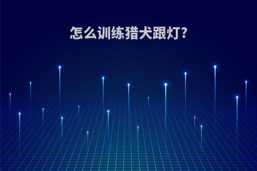 怎么训练猎犬跟灯?