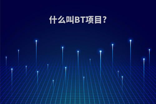 什么叫BT项目?