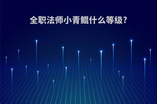 全职法师小青鲲什么等级?