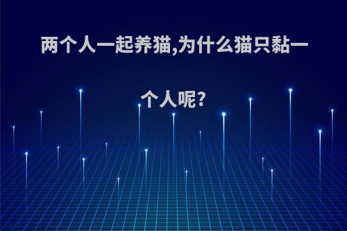两个人一起养猫,为什么猫只黏一个人呢?