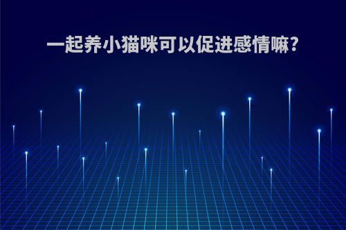 一起养小猫咪可以促进感情嘛?