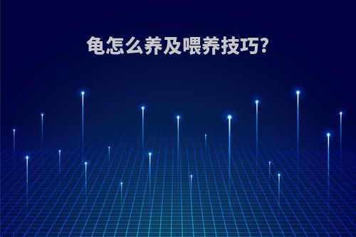 龟怎么养及喂养技巧?