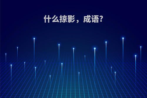 什么掠影，成语?